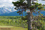  From Richardson Highway in Alaska.