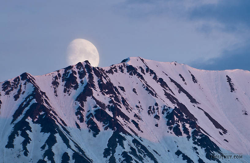  From Richardson Highway in Alaska.