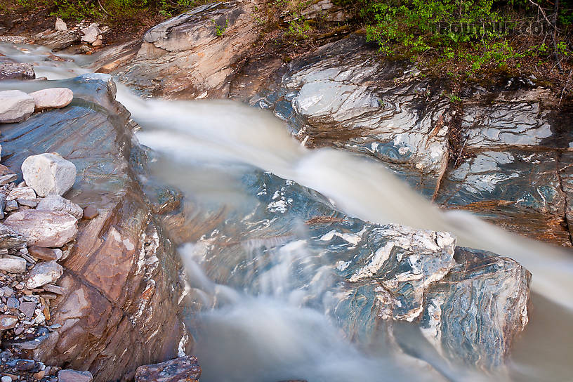  From Gunnysack Creek in Alaska.