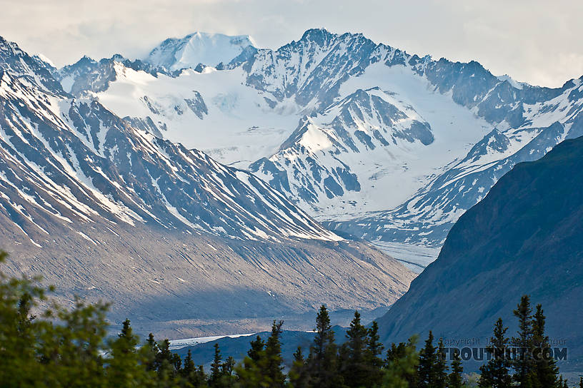  From Gunnysack Creek in Alaska.