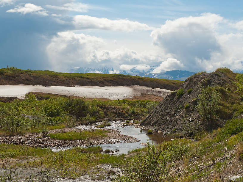  From Ober Creek in Alaska.