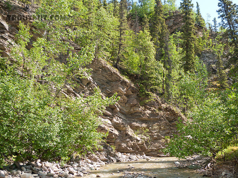  From Ruby Creek in Alaska.