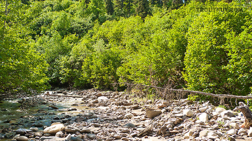  From Ruby Creek in Alaska.