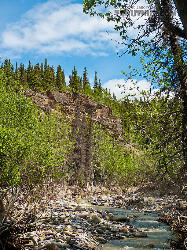  From Ruby Creek in Alaska.