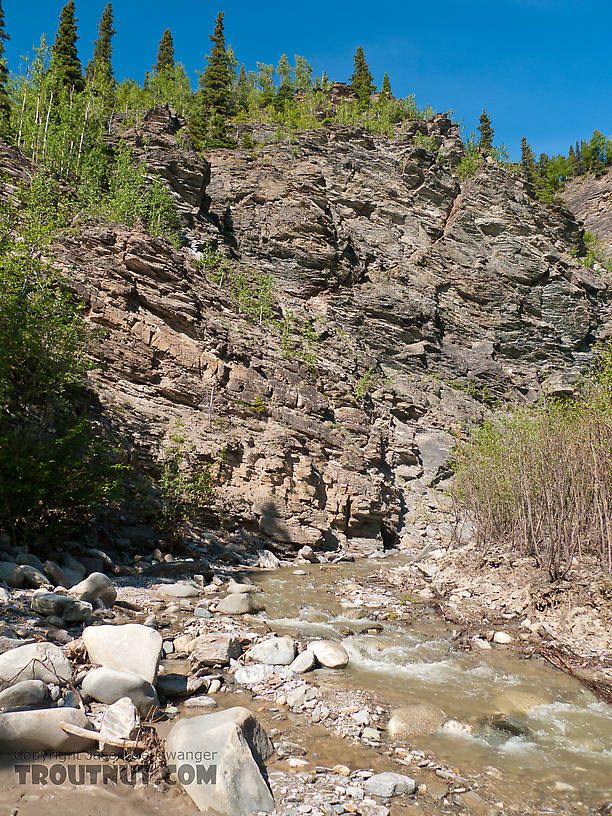  From Ruby Creek in Alaska.