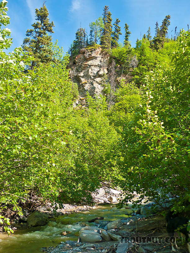  From Ruby Creek in Alaska.