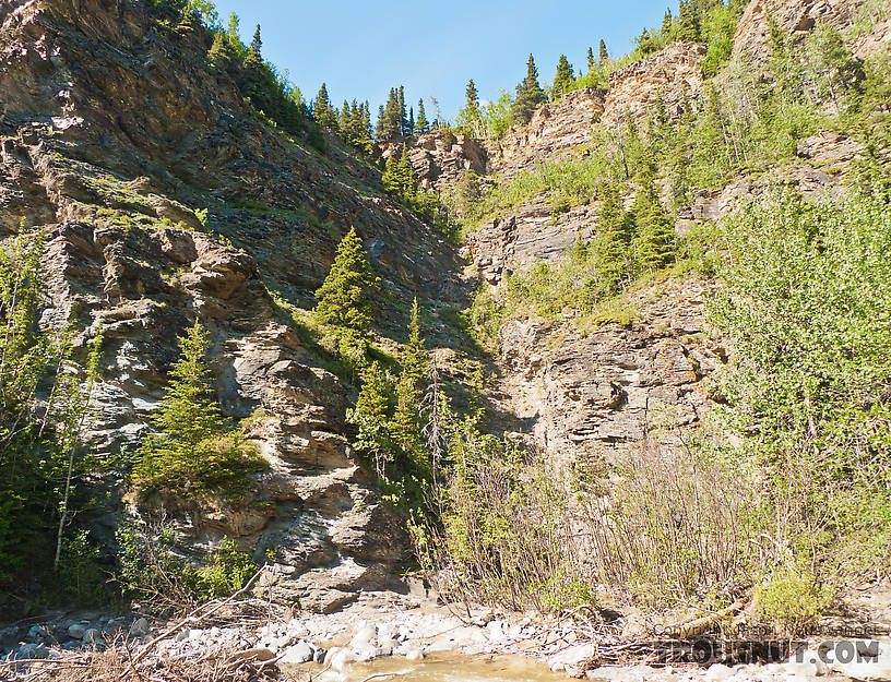  From Ruby Creek in Alaska.