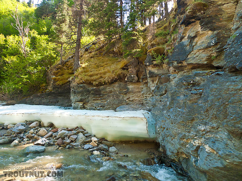  From Ruby Creek in Alaska.