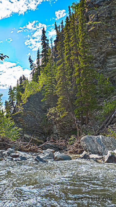  From Ruby Creek in Alaska.