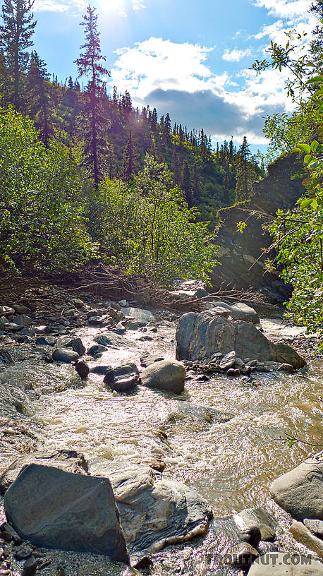  From Ruby Creek in Alaska.