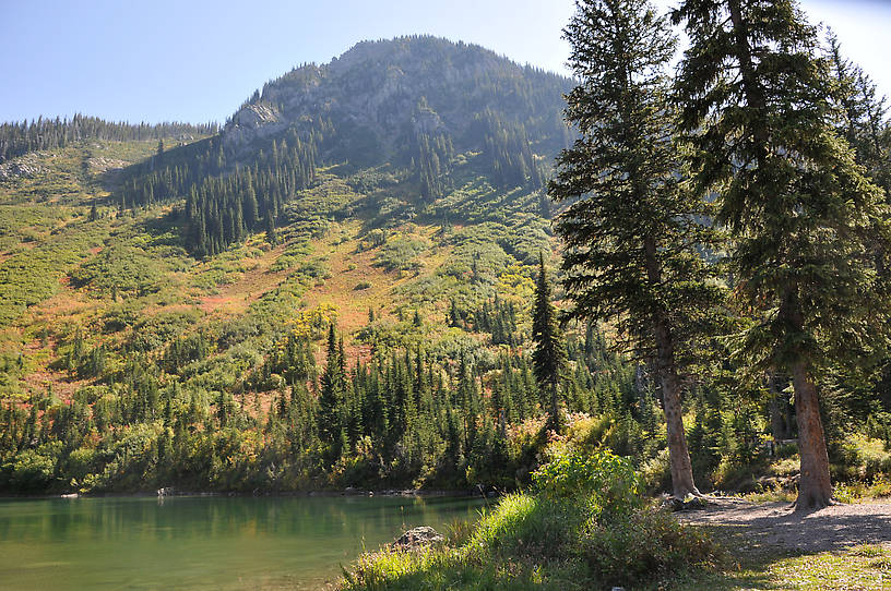  From Mystery Creek # 142 in Montana.