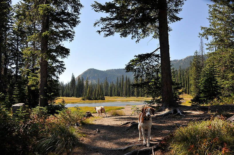  From Mystery Creek # 142 in Montana.