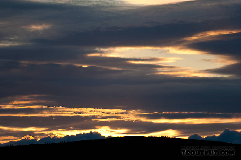  From Nome Creek in Alaska.