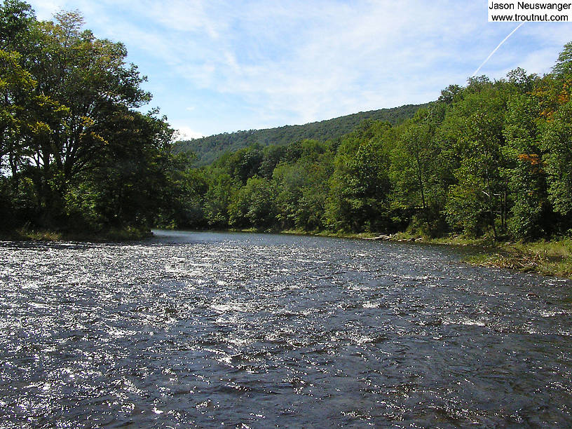  From the Beaverkill River in New York.