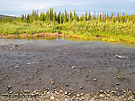  From Nome Creek in Alaska.