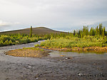  From Nome Creek in Alaska.