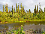  From Nome Creek in Alaska.