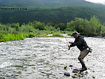  From the Gulkana River in Alaska.