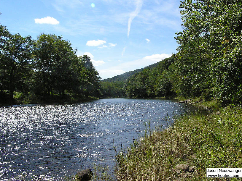  From the Beaverkill River in New York.