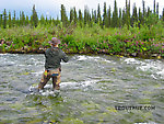  From the Gulkana River in Alaska.