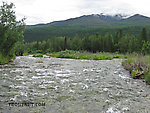  From the Gulkana River in Alaska.