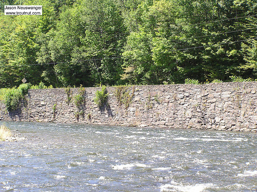 A beautiful deep current tongue runs along a manmade wall on a famous Catskill river. From the Beaverkill River in New York.