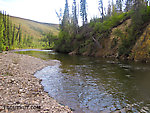  From the Chatanika River in Alaska.