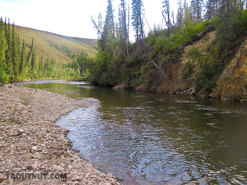  From the Chatanika River in Alaska.