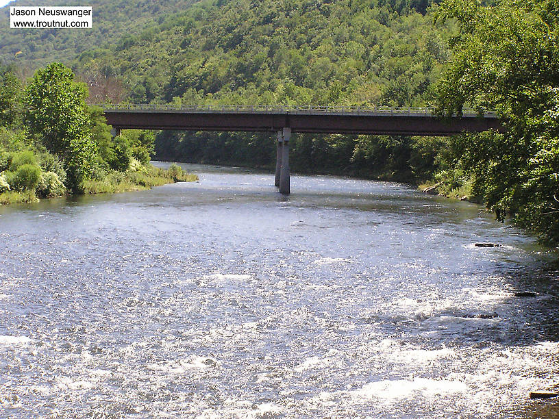  From the Beaverkill River in New York.