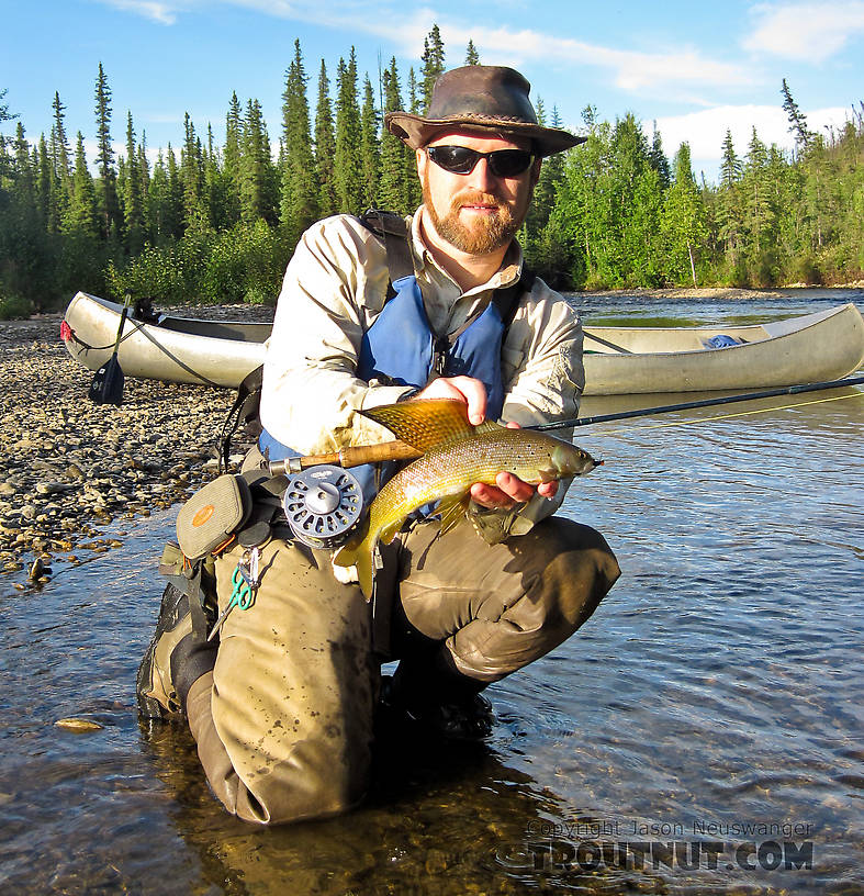  From the Chatanika River in Alaska.