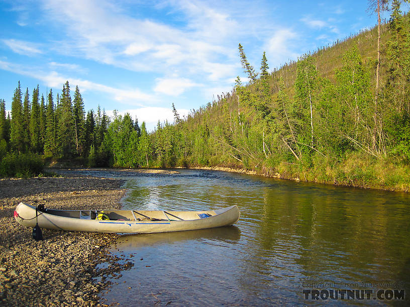  From the Chatanika River in Alaska.