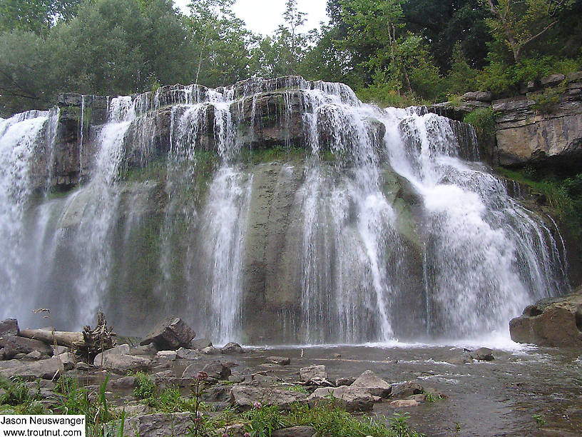  From Salmon Creek in New York.