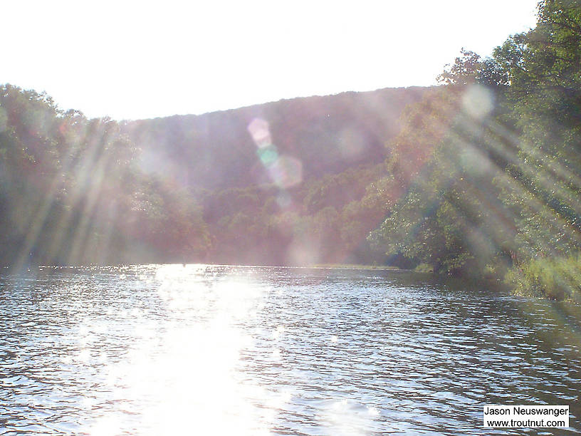  From the Beaverkill River in New York.