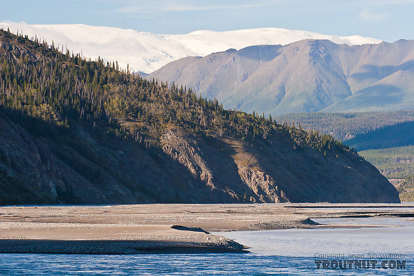 I like this one.  Glacial river, taiga, tundra, and the perpetual ice cover of a massive high ridge dozens of miles away in the Wrangell Mountains. From the Copper River in Alaska.