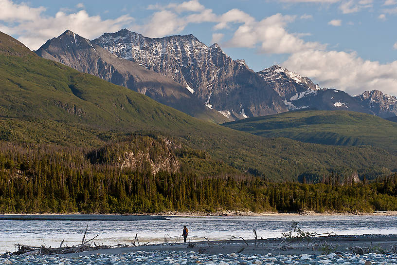 An anonymous dipnetter works the bank near the access point at O'Brien Creek. From the Copper River in Alaska.