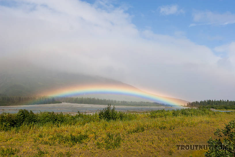  From the Delta River in Alaska.