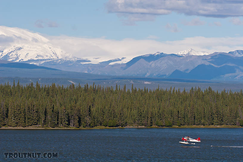 A float plane takes off from Willow Lake near Glennallen along the Richardson Highway. From Richardson Highway in Alaska.