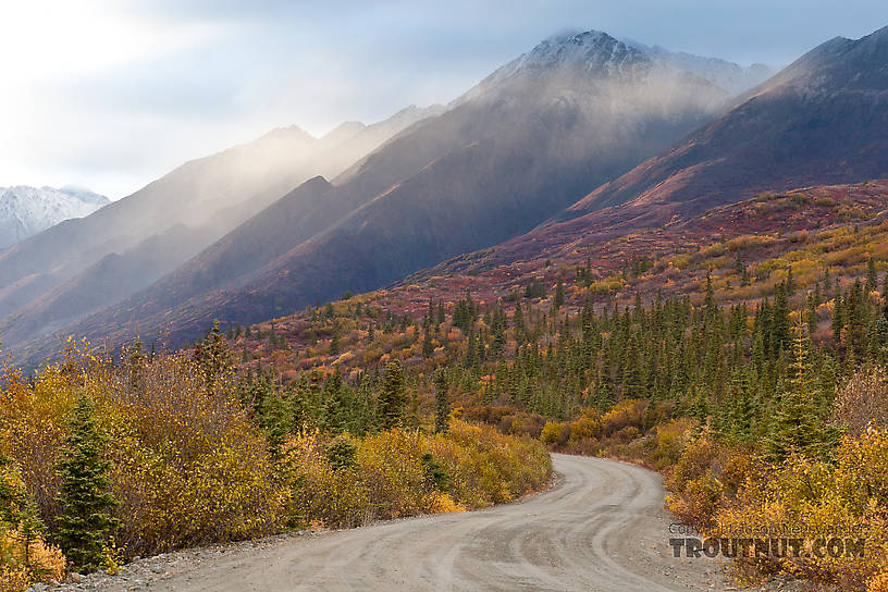  From Denali Highway in Alaska.