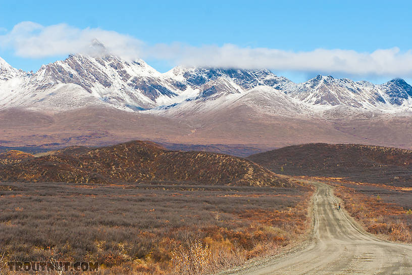  From Denali Highway in Alaska.