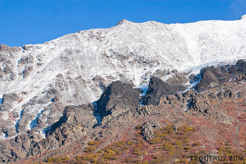  From Denali Highway in Alaska.