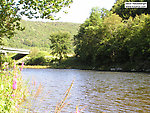  From the Beaverkill River in New York.