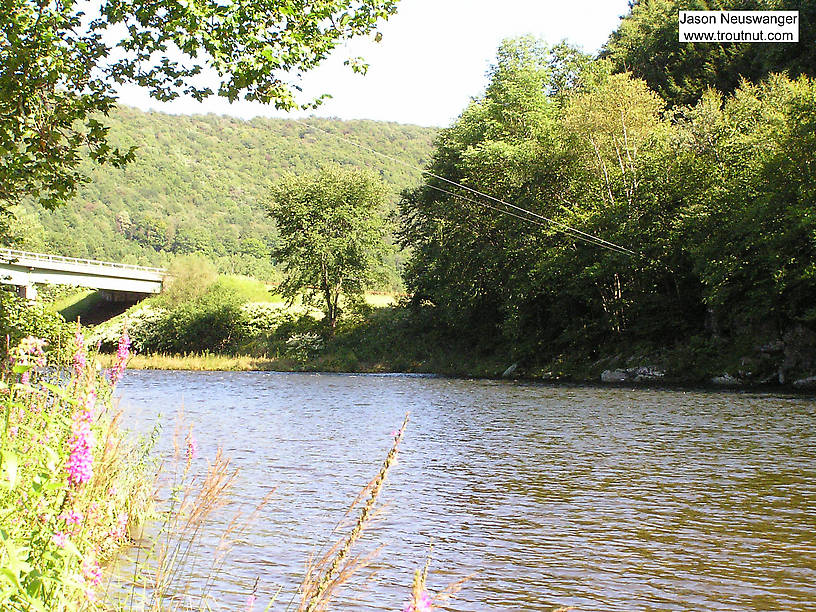  From the Beaverkill River in New York.