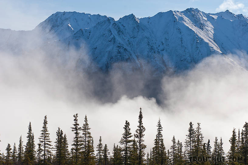  From Denali Highway in Alaska.