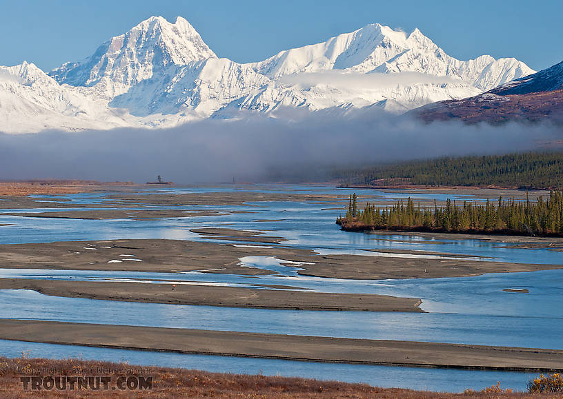  From the Susitna River in Alaska.