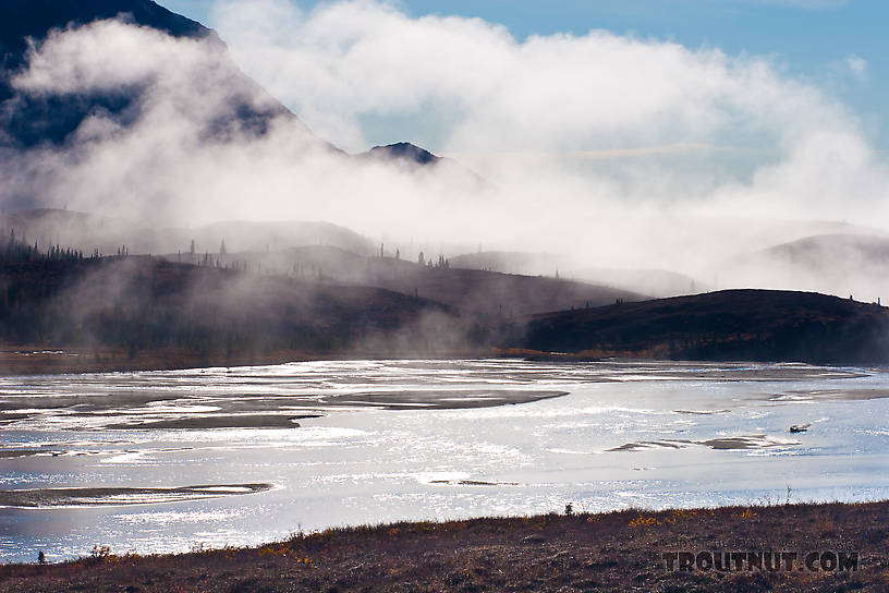  From the Susitna River in Alaska.