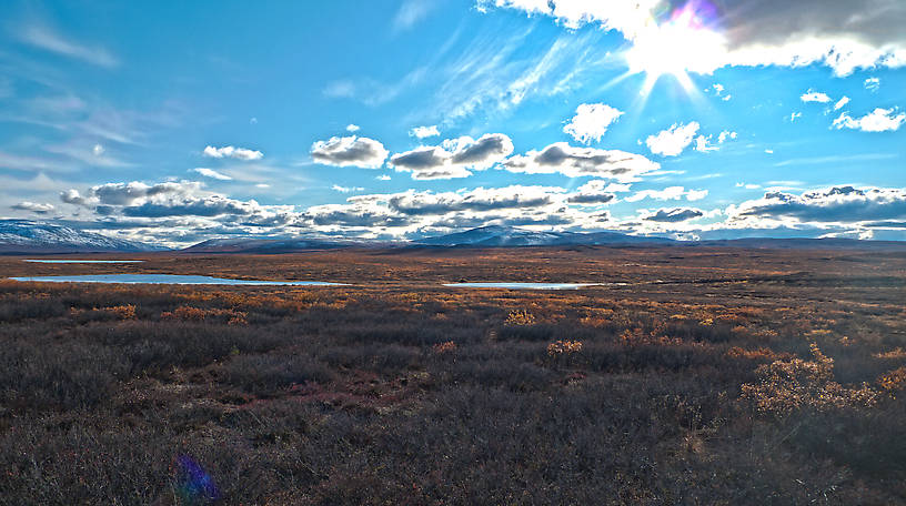  From Denali Highway in Alaska.