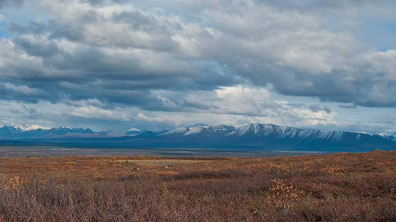  From Denali Highway in Alaska.