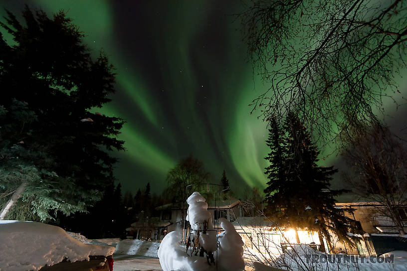 Here's the view from my front porch in Fairbanks, Alaska, during a nice auroral display. From Fairbanks in Alaska.