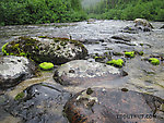  From Byers Creek in Alaska.