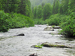  From Byers Creek in Alaska.